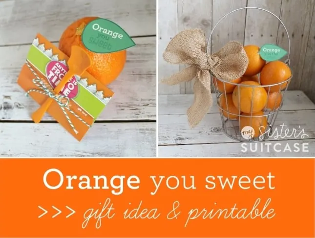 orange_you_gift_idea