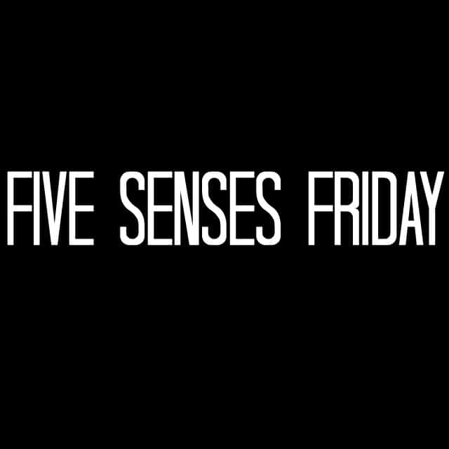 Five Senses Friday: Episode 6 Our First GUEST!