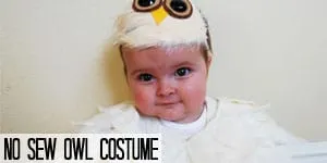 No Sew Owl Costume