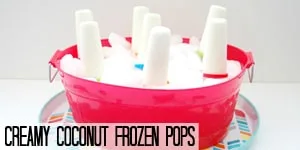 Creamy Coconut Frozen Pops