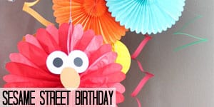 Sesame Street Birthday