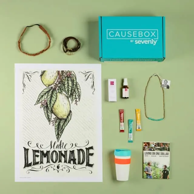 CAUSEBOX03_summer_10