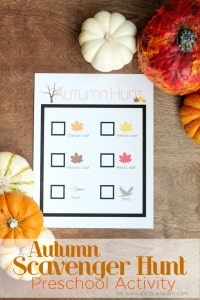 Autumn Scavenger Hunt Preschool Activity on www.girllovesglam.com