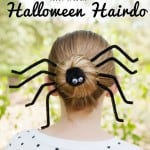 Spider Hairstyle
