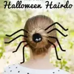Spider Hairstyle