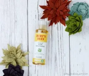 Burt's Bees Acne Solutions Cleanser on www.girllovesglam.com