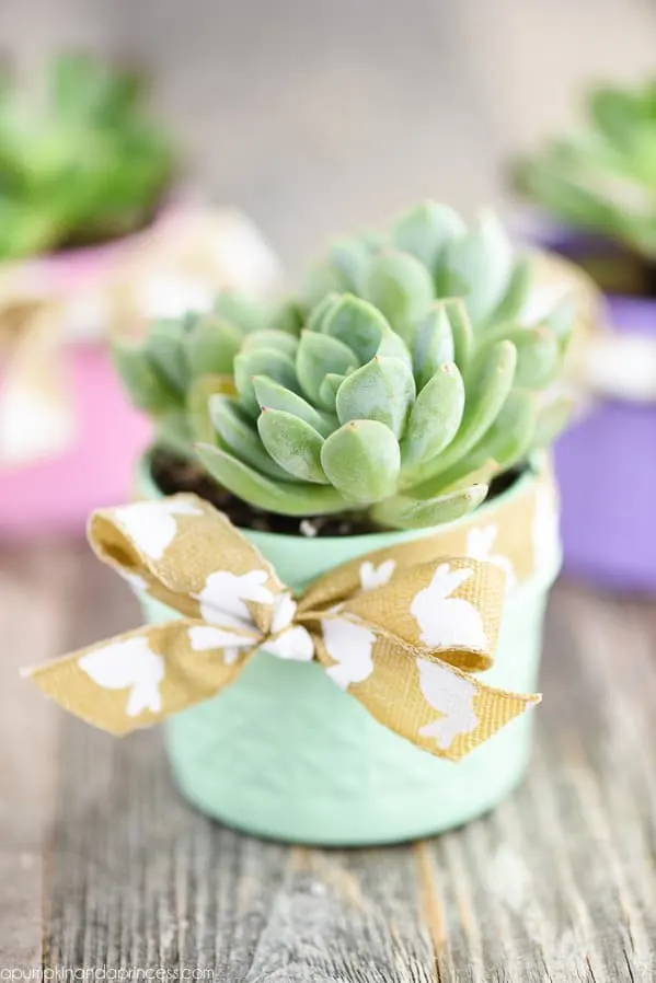 Spring Mason Jar Succulent Planter