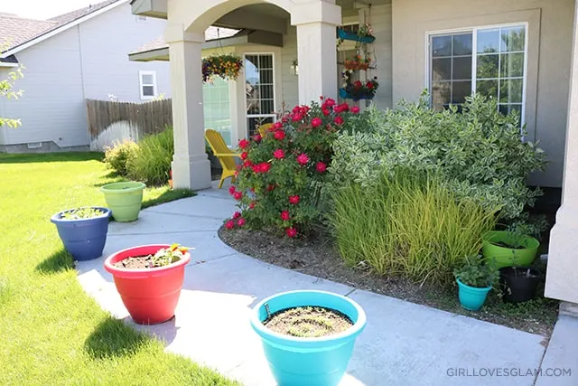 Rental Space Gardening 