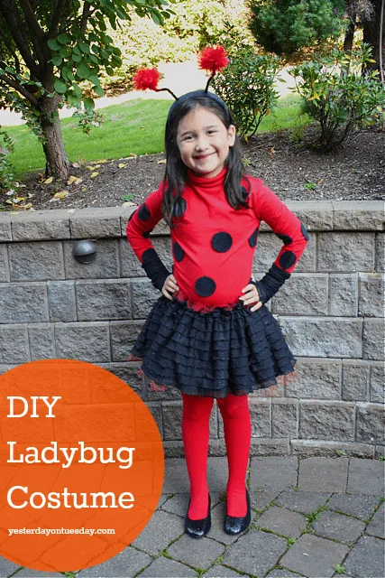 ladybug-costume