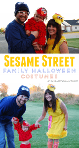 Sesame Street Family Halloween Costume on www.girllovesglam.com