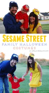 Sesame Street Family Halloween Costume on www.girllovesglam.com
