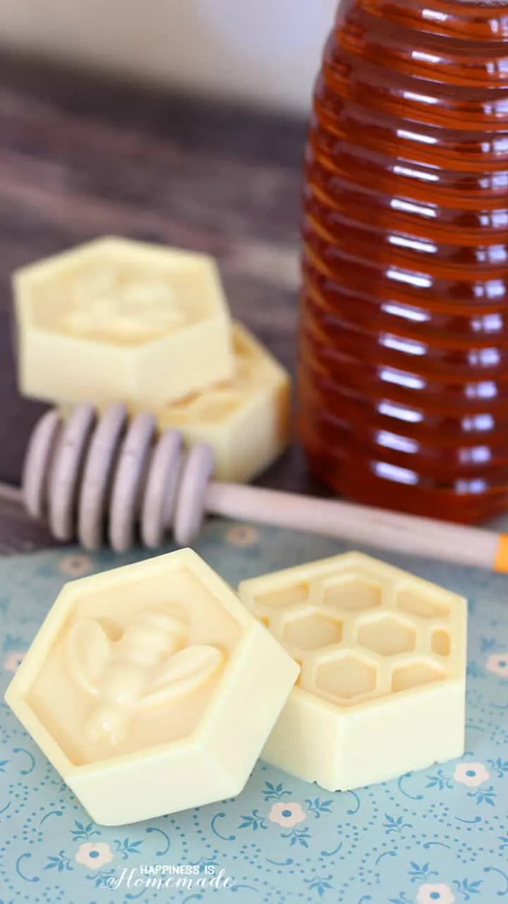 Milk and Honey Soap Gift Idea