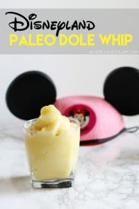 Disneyland Paleo Dole Whip on www.girllovesglam.com