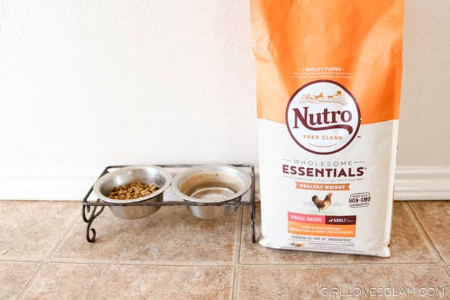 NUTRO™ Dog Food on www.girllovesglam.com