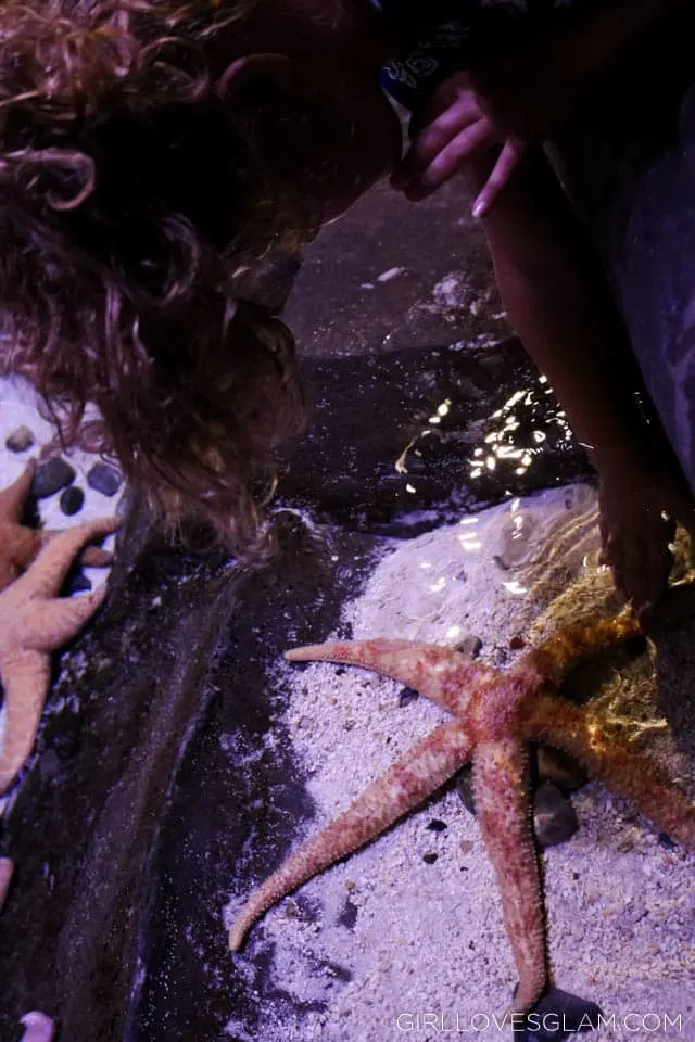 Petting Starfish on www.girllovesglam.com