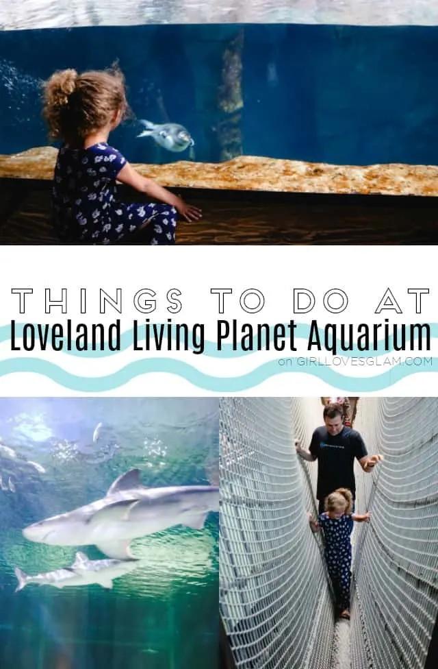 Things to do at Loveland Living Planet Aquarium on www.girllovesglam.com
