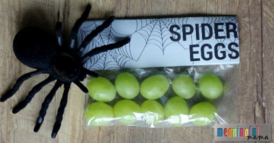 Spider Eggs