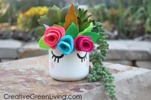 Unicorn Craft Succulent Planter