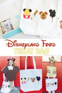 Disneyland Food Treat Bag