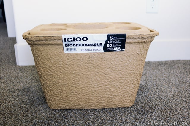 IGLOO RECOOL biodegradable cooler