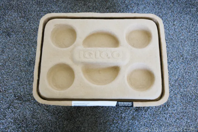 IGLOO Recool cooler