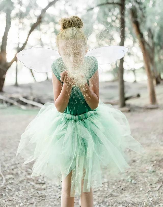 Tinker Bell Costume